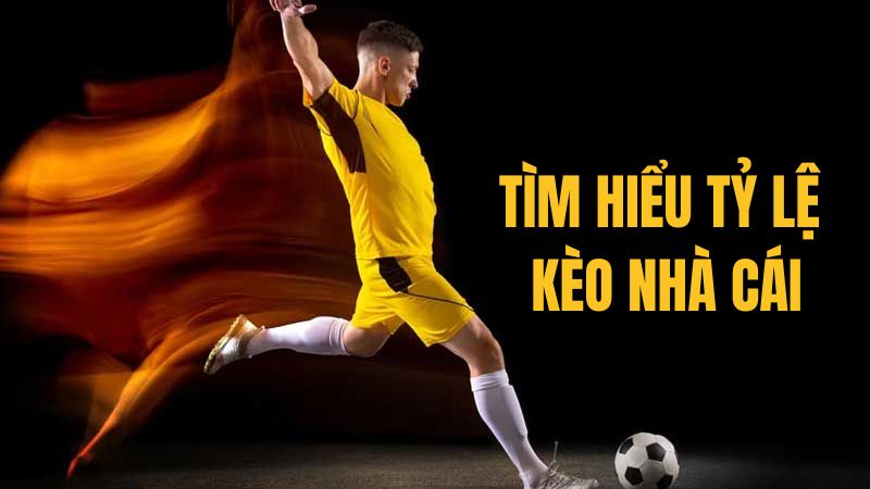 Vua88 chia sẻ phương pháp tra cứu tìm hiểu tỷ lệ kèo nhà cái Vua88 chia sẻ phương pháp tra cứu tìm hiểu tỷ lệ kèo nhà cái