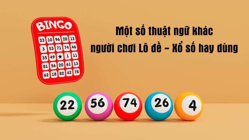 Một số thuật ngữ khác mà người chơi lô đề xổ số Vua88 cần nắm rõ