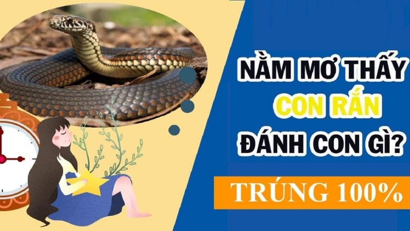 Vua88 giải mã nằm mơ thấy rắn đánh số mấy theo tình huống cụ thể Vua88 giải mã nằm mơ thấy rắn đánh số mấy theo tình huống cụ thể